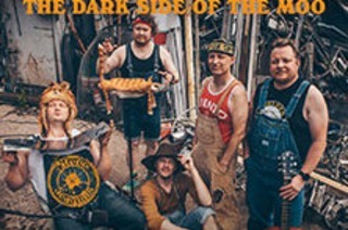 Steve 'n' Seagulls - Dark Side Of The Moo