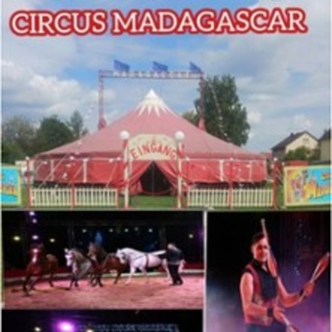Circus Madagascar - PLEINFELD - 10.08.2025 18:00