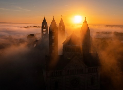Knig David | Singspiel von Thomas Riegler - Speyer - 28.09.2025 15:00
