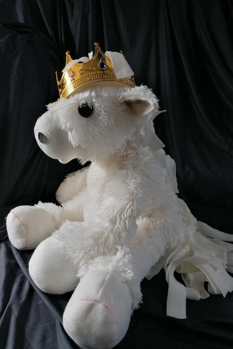 Das kleine weie Pony - Neuzelle - 20.07.2025 16:00