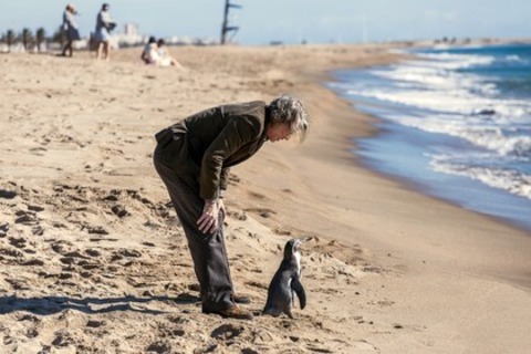 Der Pinguin meines Lebens - Lrrach - 02.05.2025 18:00