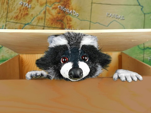 Rocky Waschbr - Der Apfelkuchendieb (ab 4 Jahren) - Karlsruhe - 09.07.2025 10:00