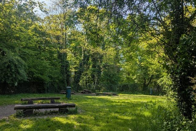 Grillplatz Wolfswinkel