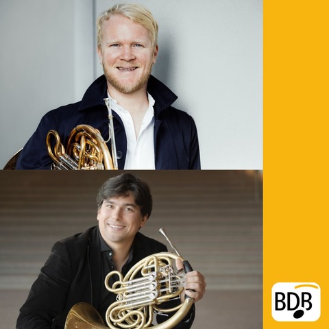 Hornissimo-Festivalkonzert - Bad Krozingen - 20.06.2025 20:00