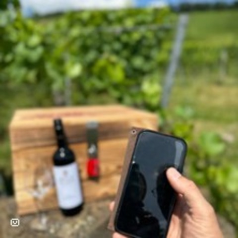 GPS-Wein-Erlebnis-Tour in Heilbronn - Heilbronn - 12.07.2025 13:00