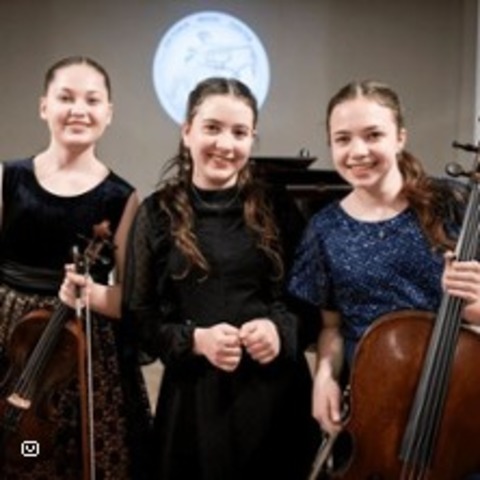 Klaviertrio: 238 Saiten - BERLIN SCHMARGENDORF - 29.05.2025 19:00