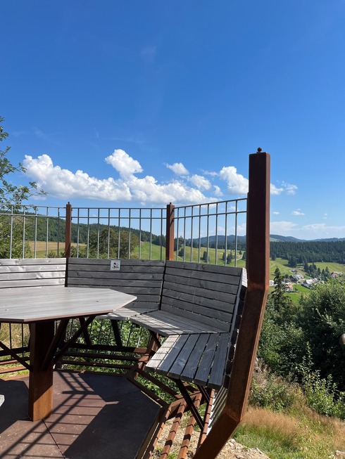 Aussichtskanzel Vogelnest (Todtnauberg) - Todtnau
