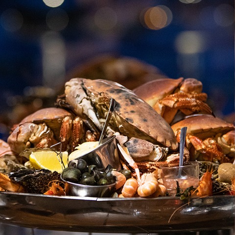 Edutainment - Meat & Seafood, Show & Tasting for Gays and Friends - Frankfurt am Main - 23.10.2025 17:00