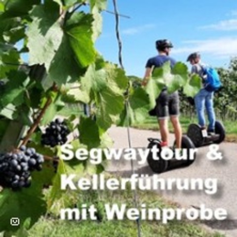 Segway Weinerlebnistour | Segway, Weinprobe und Weinkellerfhrung - Heilbronn - 11.05.2025 11:00