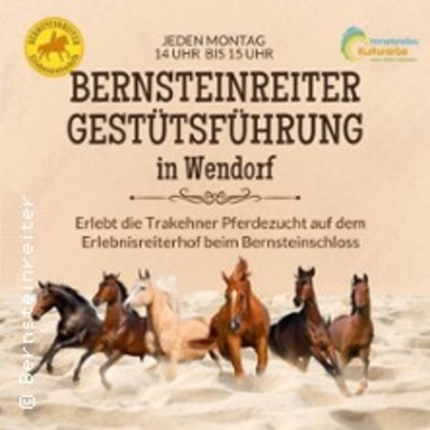 Gesttsfhrung Wendorf - KUHLEN-WENDORF - 11.08.2025 14:00