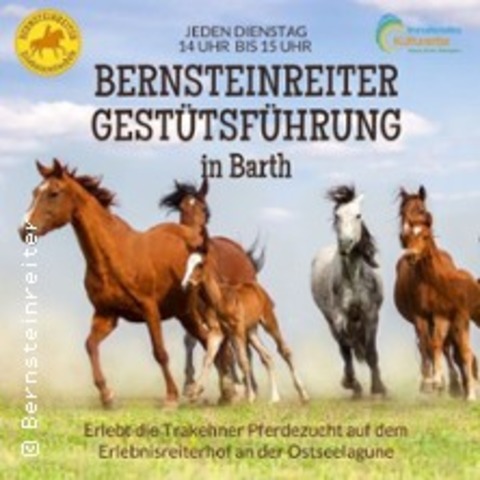 Gesttsfhrung Barth - BARTH - 10.06.2025 14:00