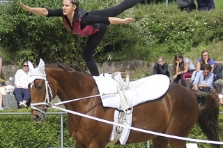 Der Reitverein Lrrach ldt am Sonntag, 11. Mai, ab 10 Uhr auf sein Vereinsgelnde, Rheinfelderstrae 2 zum Tag des Pferdes ein.