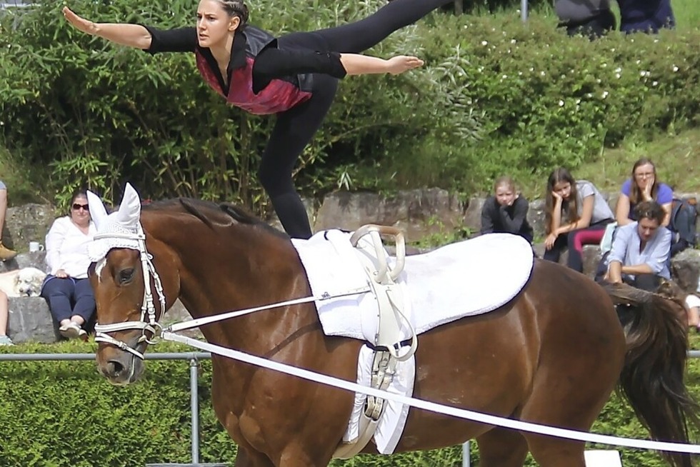 Der Reitverein Lrrach ldt am Sonntag, 11. Mai, ab 10 Uhr auf sein Vereinsgelnde, Rheinfelderstrae 2 zum Tag des Pferdes ein. - Badische Zeitung TICKET