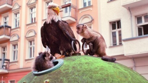 Akiko - Der fliegende Affe - Basel - 17.05.2025 13:20