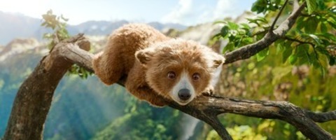 Paddington in Peru - Bad Krozingen - 10.05.2025 14:00
