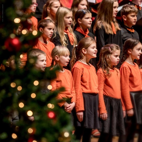 Tausend Sterne - Erfurt - 23.12.2025 19:00