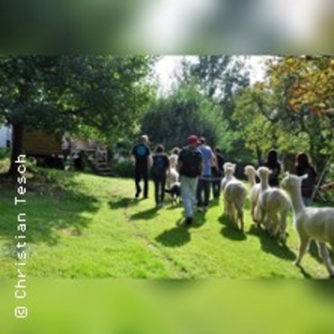 Alpaka Wanderung in der Weilachmhle - ALTOMNSTER/THALHAUSEN - 29.11.2025 10:00