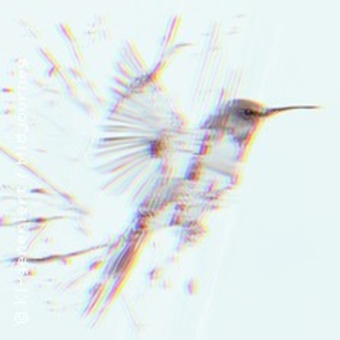 Katapult: Chirp - LEIPZIG - 13.06.2025 19:00