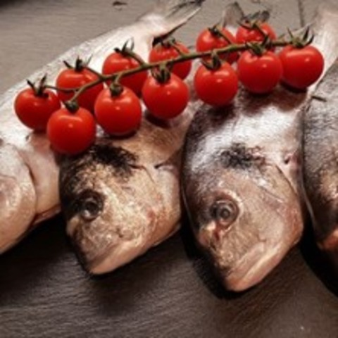 Fisch Kochkurs Stuttgart-Hedelfingen | Kochschule Sonja Lenz - Stuttgart - 18.09.2025 18:00