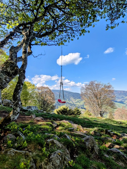 Himmelsschaukel Husleberg - Oberried