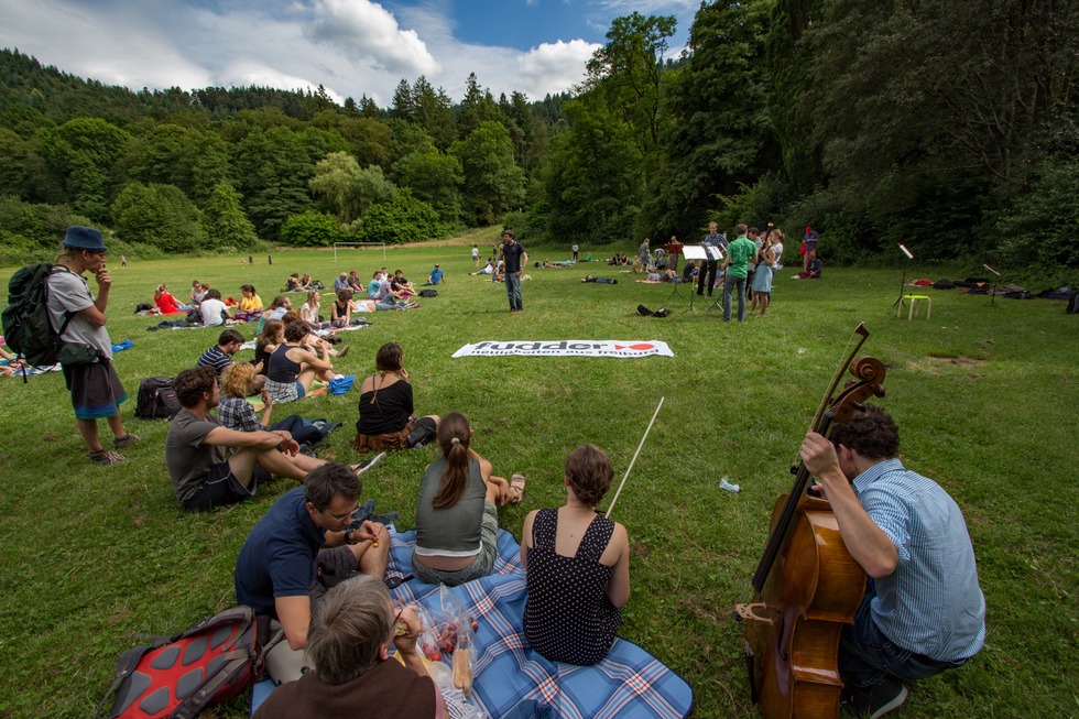 Sternwaldwiese (Wiehre) - Freiburg