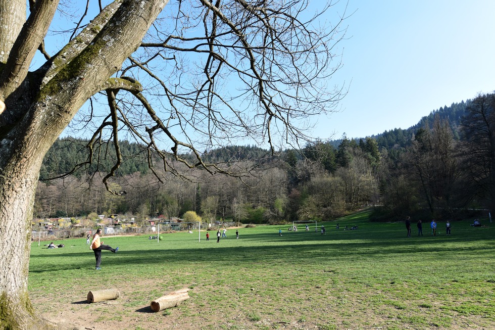 Sternwaldwiese (Wiehre) - Freiburg