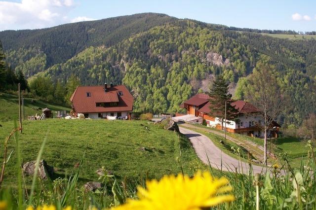 Spisingerhof
