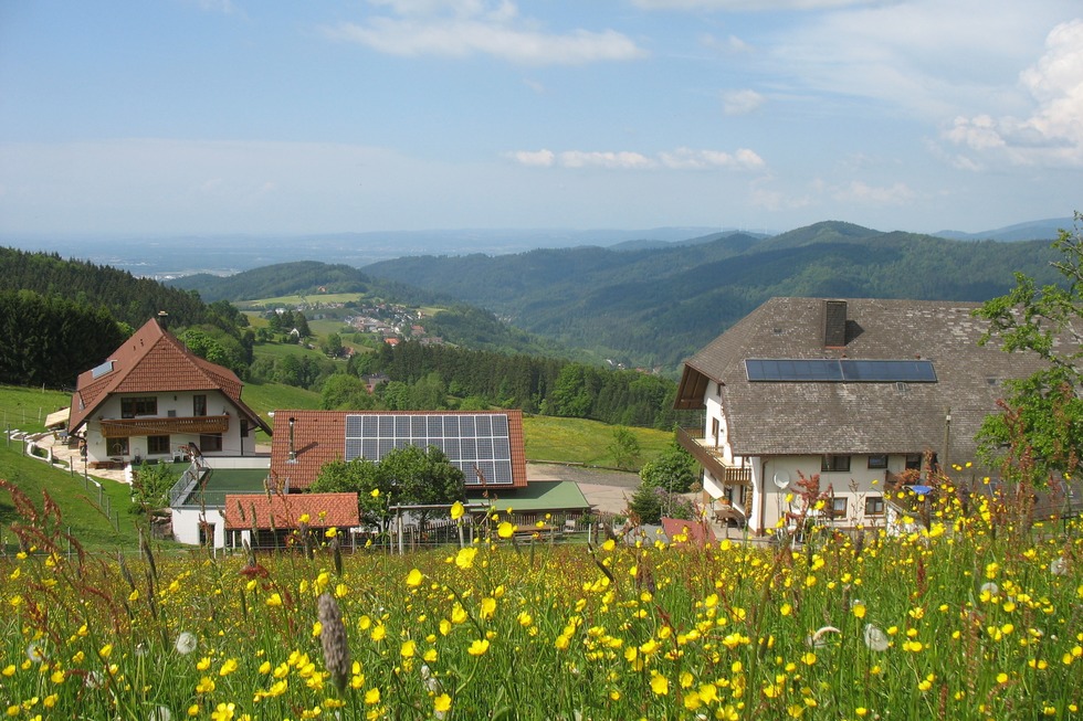 Spisingerhof - Oberried
