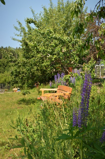 Ferienhof s Fleckli - Elzach