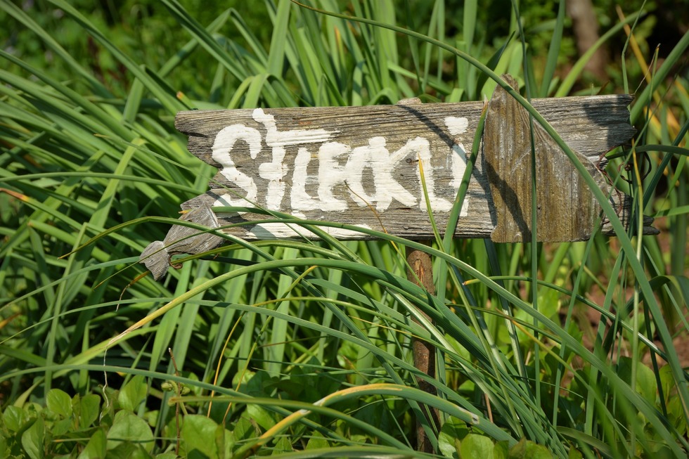 Ferienhof s Fleckli - Elzach