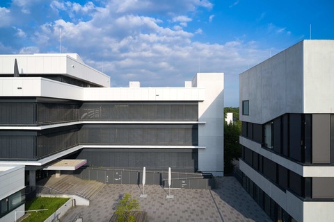 Online: Bachelor Religion und Soziales - Freiburg - 22.05.2025 17:00