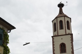 Storchenturm