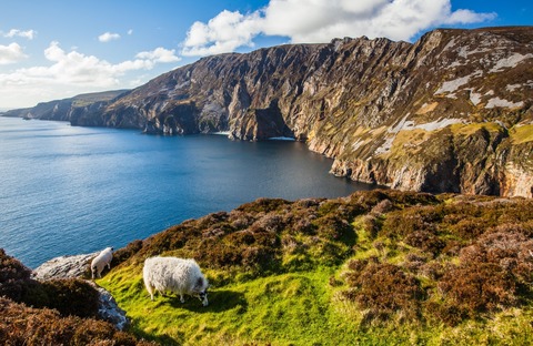 IRLAND mit Robert Neu - Ahlen - 13.01.2026 19:30