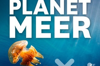 MUNDOLOGIA: Planet Meer - Terra X live, 30.01.2026