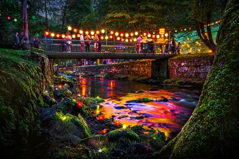Enzbeleuchtung Bad Wildbad - Sommerfest im Kurpark - Bad Wildbad im Schwarzwald - 05.07.2025 18:00