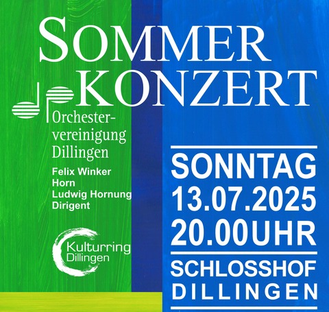 Sommerkonzert - Dillingen - 13.07.2025 20:00