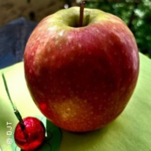 Ephraim Kishon & Die zehn Gebote / Oder: Der Apfel ist an allem schuld - BERLIN - 31.08.2025 18:00