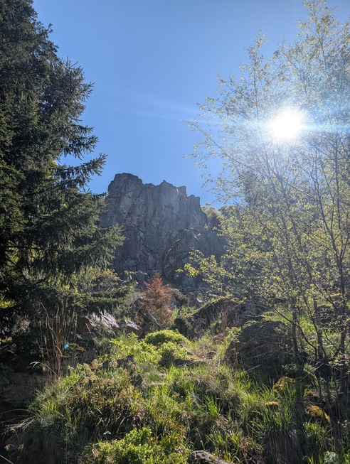 Kandel-Tour (Josef-Seger-Weg) - Waldkirch
