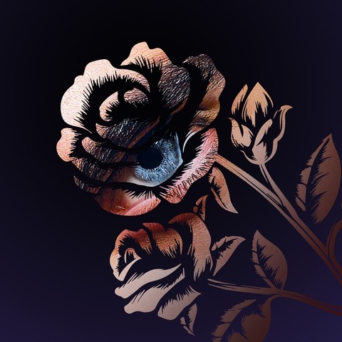 Don Giovanni - von Wolfgang Amadeus Mozart - Wuppertal - 05.10.2025 16:00