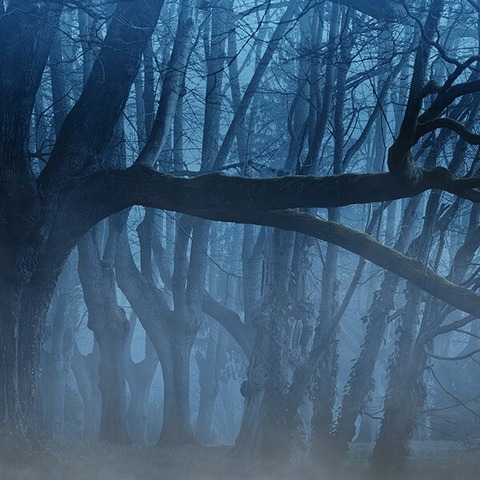 Erwartung / Der Wald - von Arnold Schnberg / Ethel Smyth - WIEDERAUFNAHME - Wuppertal - 08.02.2026 18:00