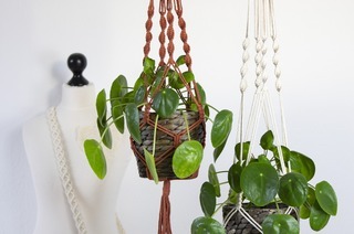 Kreativworkshop: Makramee Blumenampeln