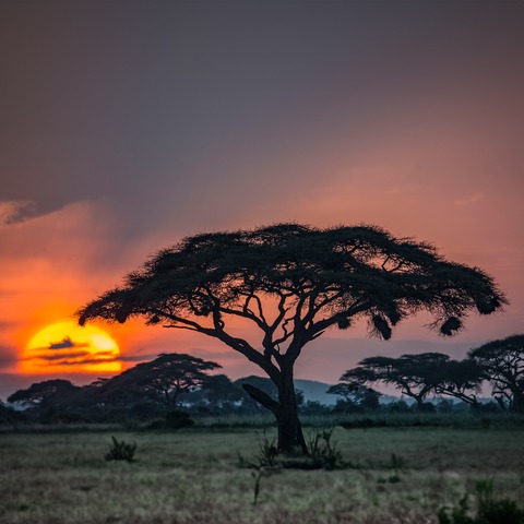 Seminar Landschaft und Natur Fotografie - Erlangen - 16.11.2025 10:00