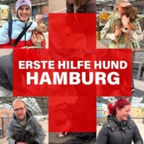 Rudel - Erste Hilfe am Hund - HAMBURG - 23.09.2025 18:30