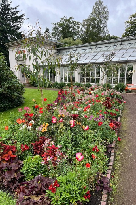 Britische Teatime im Schlossgarten Pavillon - Oldenburg (Oldenburg) - 15.06.2025 15:00