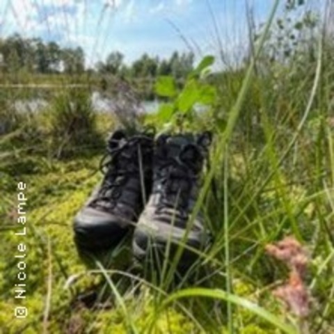 Moor-Wildkruterwanderung - DIEPHOLZ - 06.09.2025 11:00