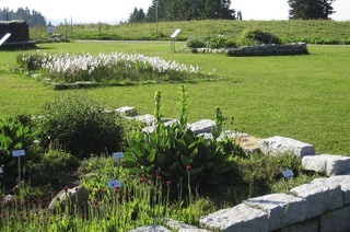 Feldberggarten