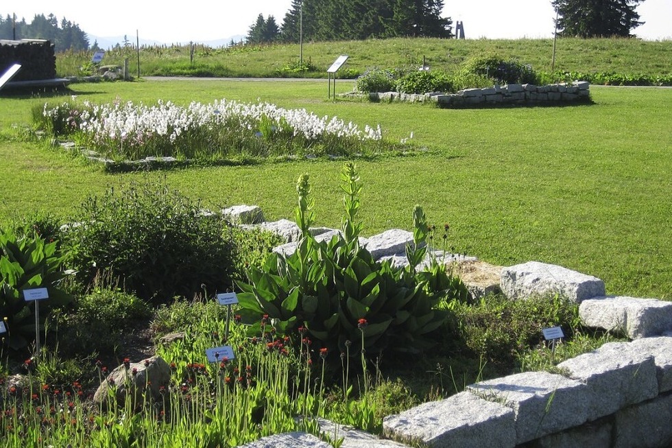 Feldberggarten - Badische Zeitung TICKET