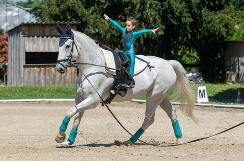Voltigierturnier des Reitclub 99 - Freiburg - 24.05.2025 09:00