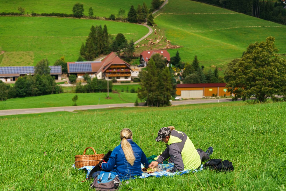 Schweizermichelhof - Sankt Georgen