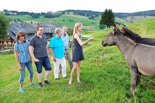 Sunmattehof (Todtnauberg)